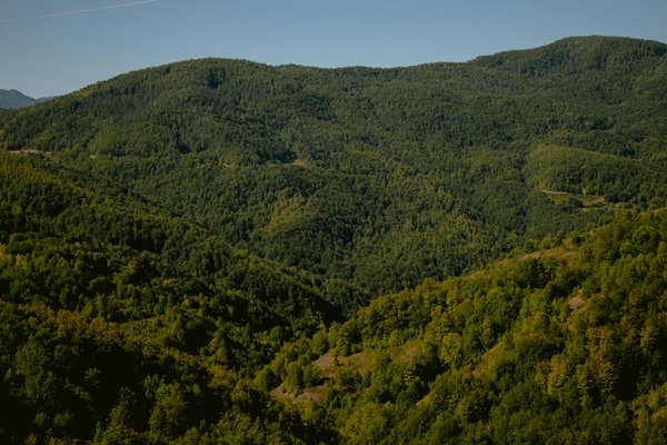 Délices culinaires : Les secrets bienfaisants du chocolat